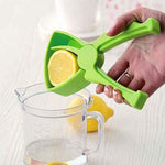 Mini DIY Fruit Juicer Cooking