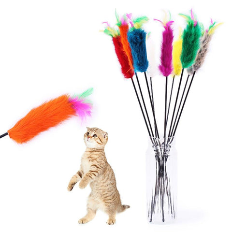 Funny Pet Toys Cat